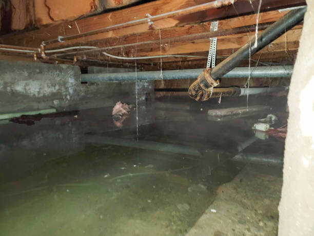 Best Water damage restoration near me  in Ohioville, PA