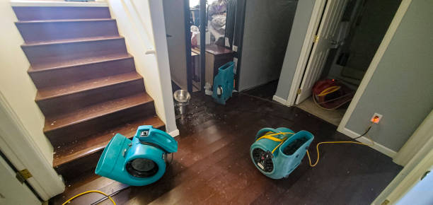 Best 24-hour water damage restoration  in Ohioville, PA