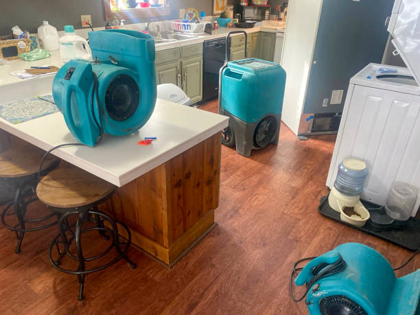 Best Mold removal after water damage  in Ohioville, PA