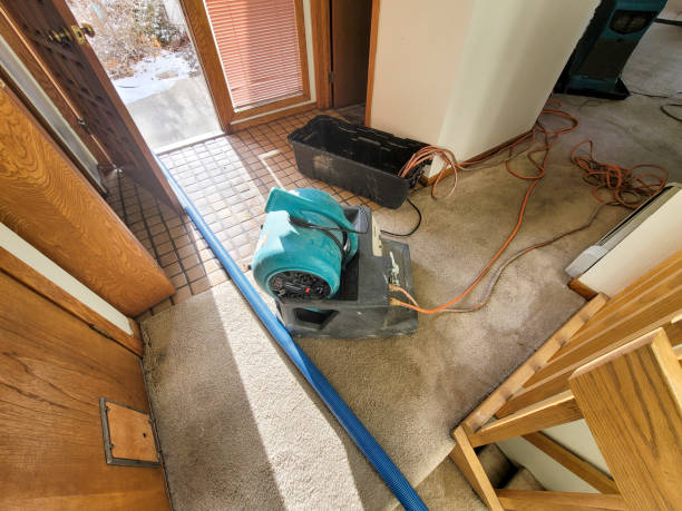 Best Fire Damage Restoration  in Ohioville, PA