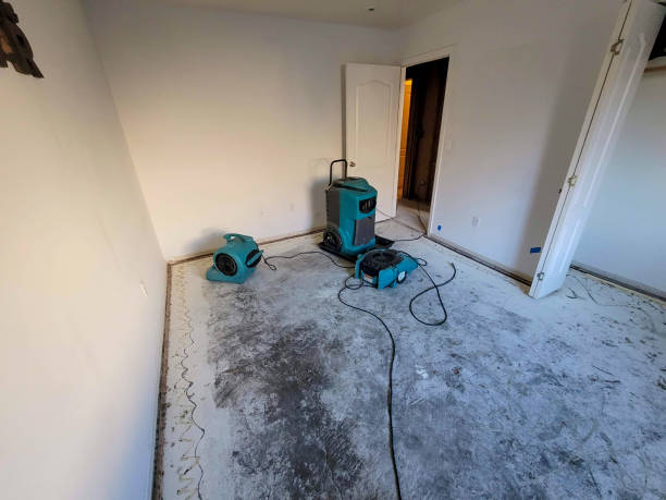 Best Water damage contractors near me  in Ohioville, PA