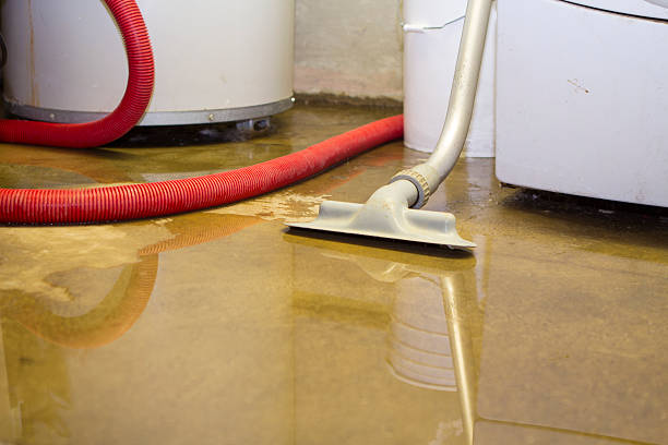  Ohioville, PA Water damage restoration Pros