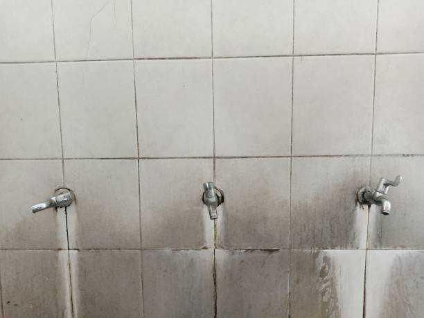 Best Fire Damage Restoration  in Ohioville, PA