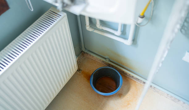 Best Carpet water damage restoration  in Ohioville, PA