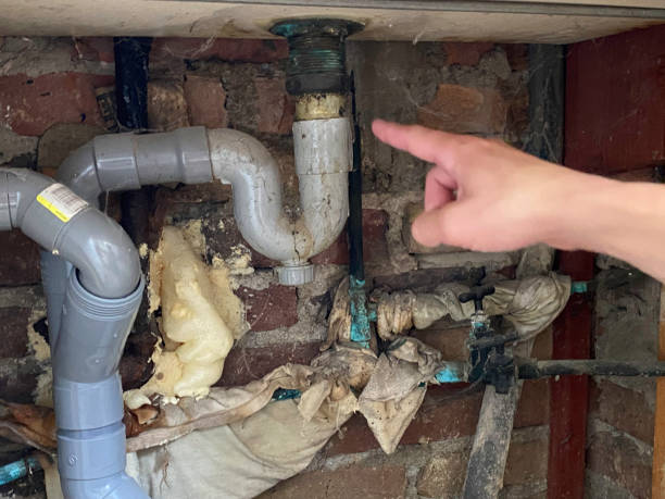 Best Water damage contractors near me  in Ohioville, PA
