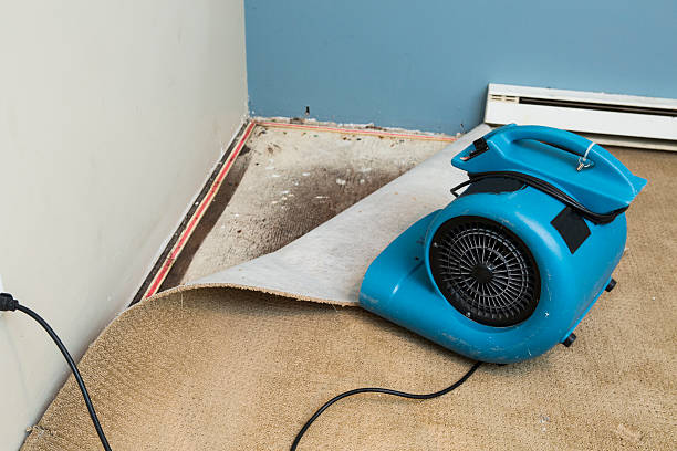 Best Water damage cleanup near me  in Ohioville, PA